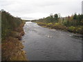 NZ0562 : The River Tyne at Bywell by Jonathan Thacker