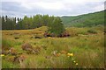 NM8263 : Pond, Ariundle by Mick Garratt