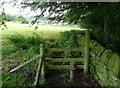 Stile on Hebden Royd FP 65