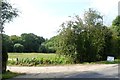 Entrance to sewage works near Nutley