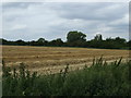 Farmland, Ashwell End