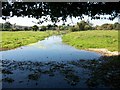 River Misbourne Little Missenden