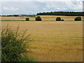 Fields below Nether Garvock