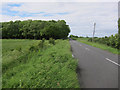 Road towards Bushy Common Plantation