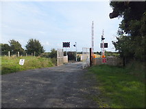 SC2369 : Colby FC level crossing by Richard Hoare