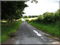 The lane to Tullybelton