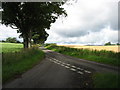 The lane from Tullybelton to Berryhill