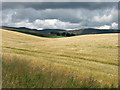 Fields at Gourdiehill