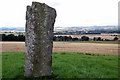 Symbol Stone on Tumulus at Baldowrie, Angus