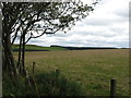 Looking over grazing lands