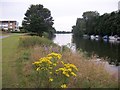 River Thames at Platt