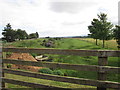 Former rail line at Flagstaff Cottages