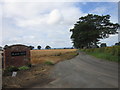 The way to Plane Tree Farm