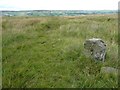 SD9824 : Boundary stone, Erringden Moor by Humphrey Bolton