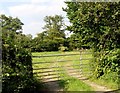 Gate off Ruston Bridge Road, Fletching