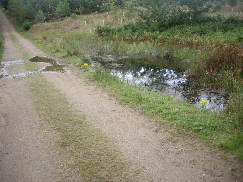 a-low-point-on-the-track-through-turks-stanley-howe-geograph