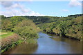 The River Wye upstream from Whitney toll bridge