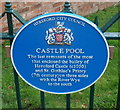 SO5139 : Castle Pool blue plaque, Hereford by Jaggery