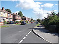 Allenby Road - viewed from Allenby Drive