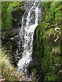 NT8919 : Waterfall on the College Burn in the Hen Hole by Geoff Holland