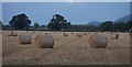 Harvest time in Trefnant