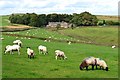 View northwards to Camphill