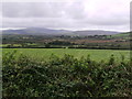 Looking over the Preseli Hills