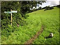 Electric fence across footpath, Honiton Hill