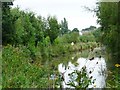 Cyclist on the Chesterfield Canal towpath