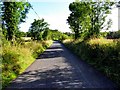 H6023 : Road at Drumbrean by Kenneth  Allen