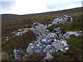 NN8586 : Rock outcrop on Carn an Fhidleir Lorgaidh's south ridge near Glen Feshie by Aviemore by ian shiell
