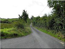 H6420 : Road at Corracavan by Kenneth  Allen