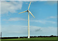 Wind turbine, Islandmagee (1)