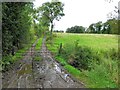 H6824 : Muddy lane, Dromore by Kenneth  Allen