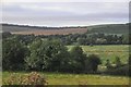 Salisbury District : Grassy Fields and Trees