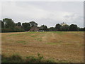 View from Chapel Lane, Sykehouse