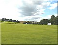Sibton Park Cricket Club - the pitch