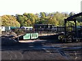 Stock in Grosmont yard