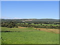 Farmland at Balcamie