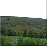 SE8498 : Goathland Moor by JThomas