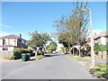 Canford Drive - viewed from Westlands Drive