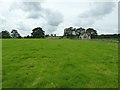 Lush grass by Upleadon Farmhouse