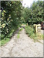 Footpath - Ivy Lane