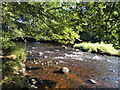 Water of Girvan at Dailly