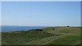 TV5895 : Beachy Head Cliff Path by Paul Gillett