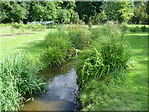 TQ2668 : Tributary of the River Wandle in the Rose Garden, Morden Hall Park by Marathon