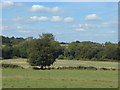 Farmland near New Haw