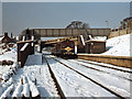 Train at Downshire