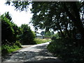 Lane near Manor Farm