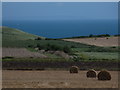 SY9576 : Worth Matravers: Isle of Wight view from Emmetts Hill by Chris Downer